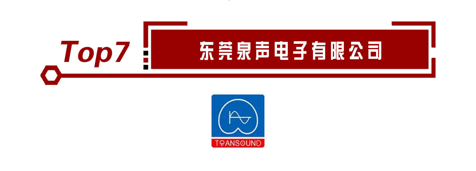 扬声器开云体育 开云平台十大品牌排行榜揭晓！上榜的企业有这些！(图8)